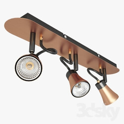 Ceiling light - Lussole LOFT LSL-6801-03 