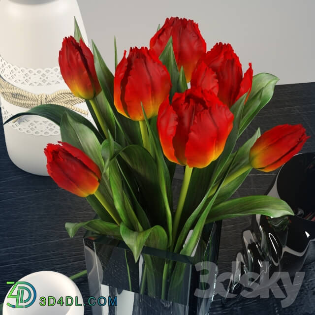 Decorative set - Decorative set with tulips