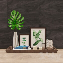 Decorative set - Monstera set 