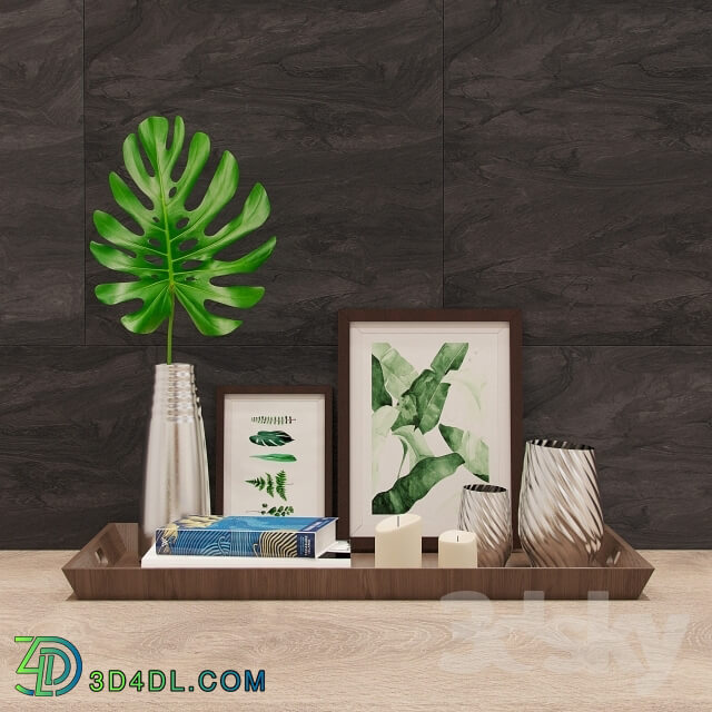 Decorative set - Monstera set