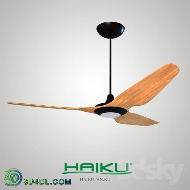 Household appliance - Ceiling Fan Haikufan