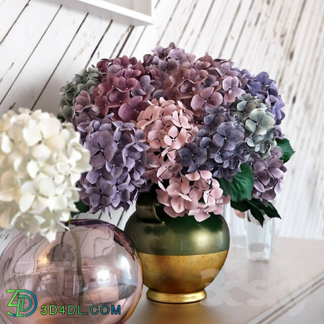 Plant - Composition with hydrangeas