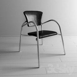 Chair - Metallic chair 