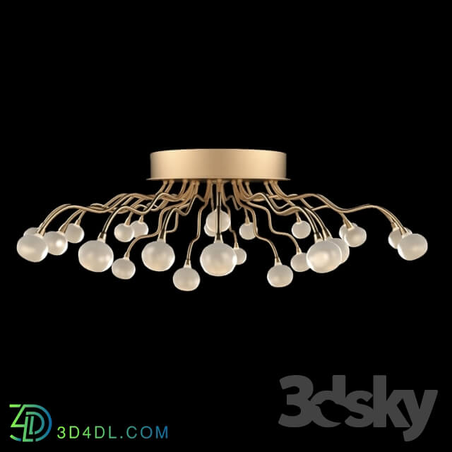 Ceiling light - Chandelier