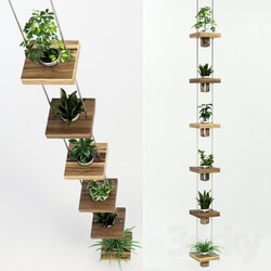 Plant - Hanging shelf with flowers 