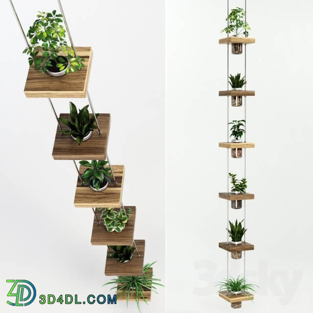 Plant - Hanging shelf with flowers