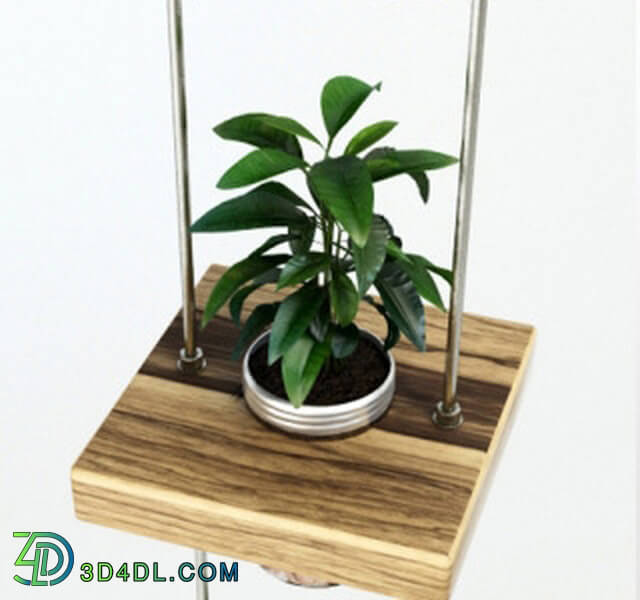 Plant - Hanging shelf with flowers