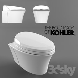 Toilet and Bidet - Kohler Veil 