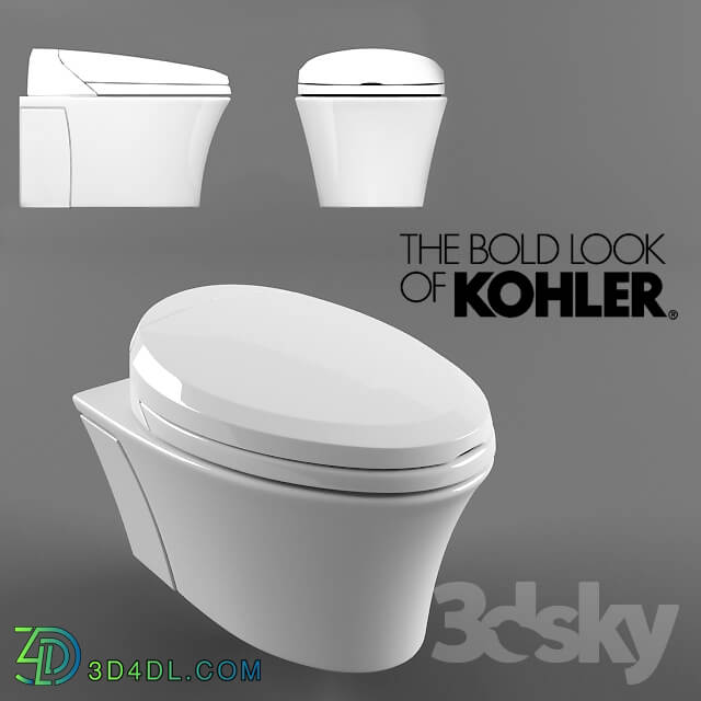 Toilet and Bidet - Kohler Veil