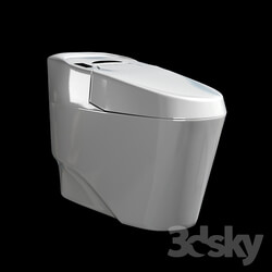 Toilet and Bidet - Flush toilet 