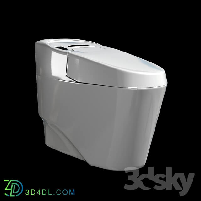 Toilet and Bidet - Flush toilet