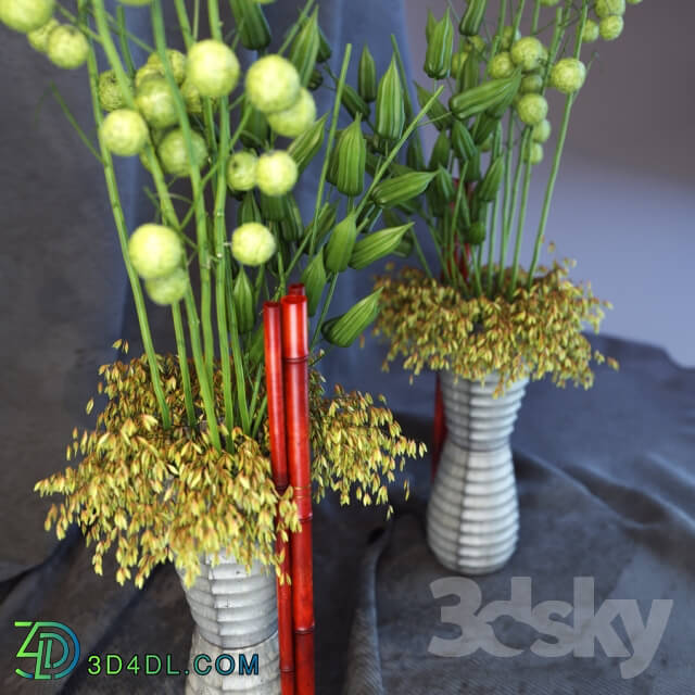 Plant - Vase_with_flowers