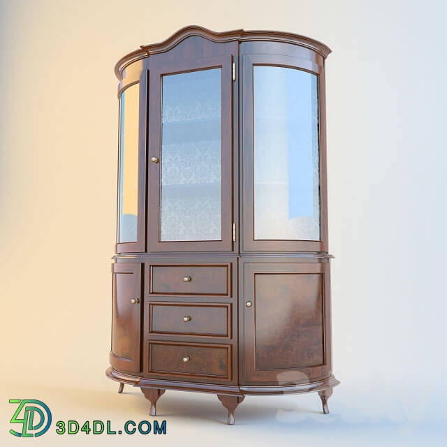 Wardrobe _ Display cabinets - showcase