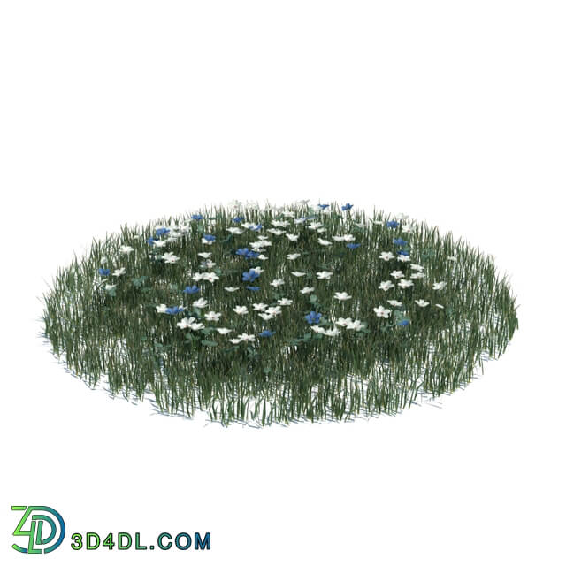 ArchModels Vol124 (123) simple grass large v3