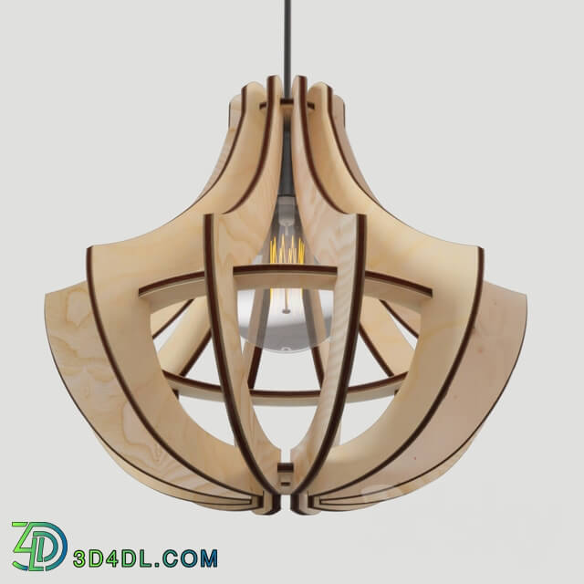 Ceiling light - Wooden fixtures