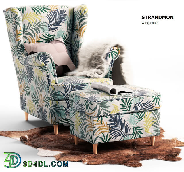 Arm chair - chair Strandmon Ikea _ chair STRANDMON Ikea