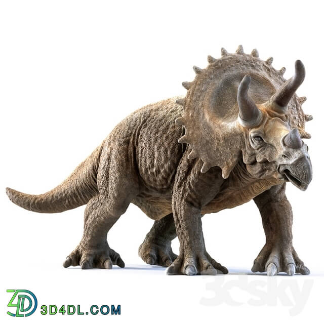 Creature - triceratops