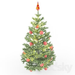 Plant - Christmas tree 