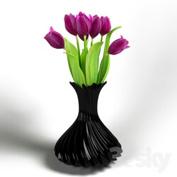 Plant - Vase with tulips 
