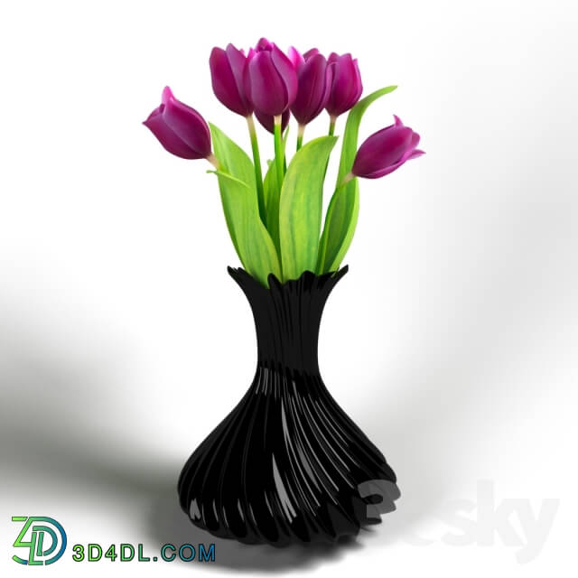 Plant - Vase with tulips