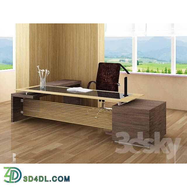 Office furniture - stol rukovoditelya