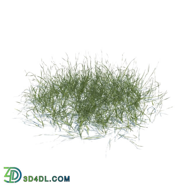 ArchModels Vol124 (126) simple grass v3