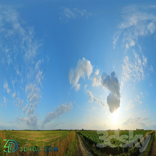 Panorama - Dawn in the field