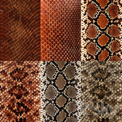 Leather - Snake Leather Textures 