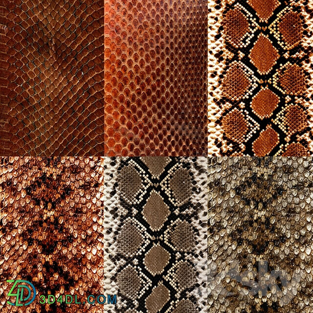 Leather - Snake Leather Textures