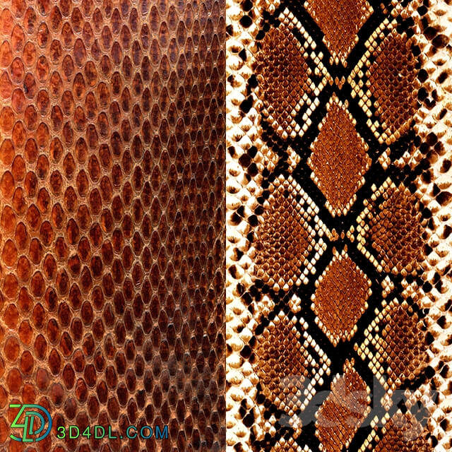 Leather - Snake Leather Textures