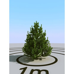 3dMentor HQPlants-02 (016) pine small 1 