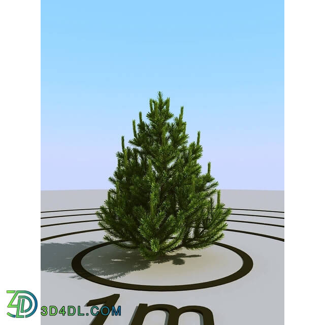 3dMentor HQPlants-02 (016) pine small 1