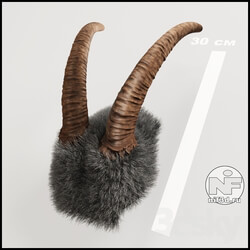 Other decorative objects - Horn 