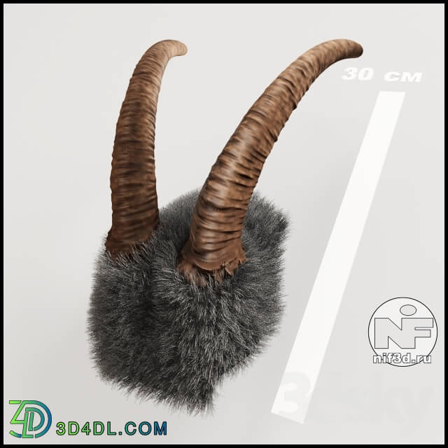 Other decorative objects - Horn