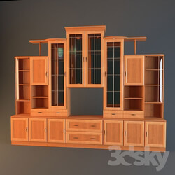 Wardrobe _ Display cabinets - the wall in the living room 