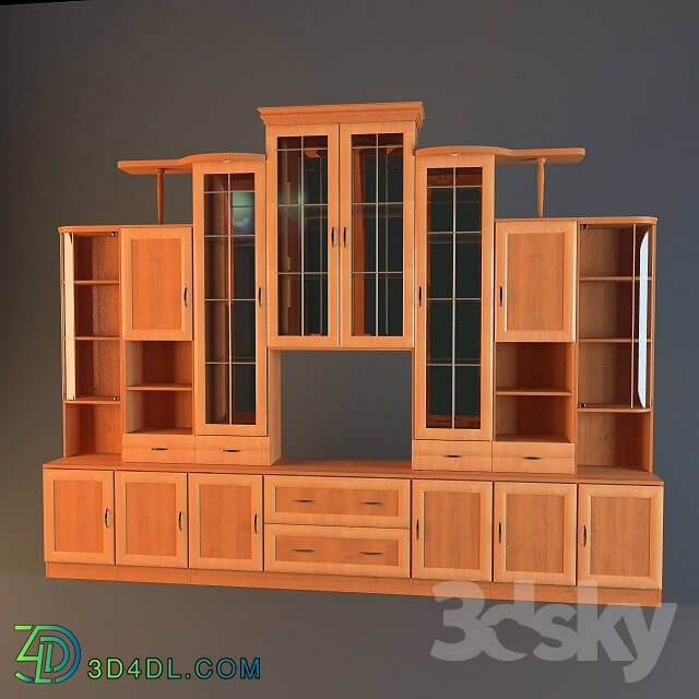 Wardrobe _ Display cabinets - the wall in the living room