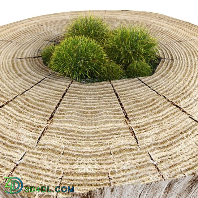 Table - stump