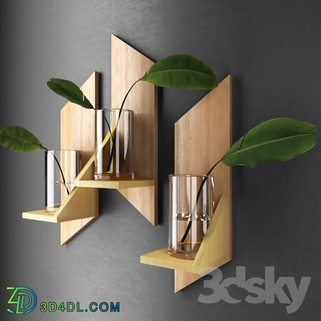 Plant - Decorative shelves with sheets