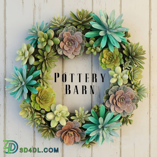 Plant - Pottery Barn Succulent Wreath