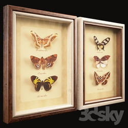Frame - Butterfly Collection Set 