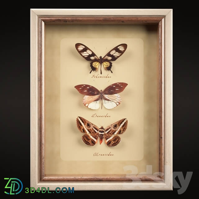 Frame - Butterfly Collection Set