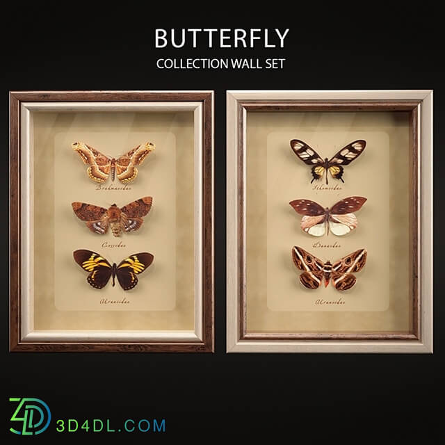 Frame - Butterfly Collection Set