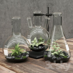 Plant - Florariumy flasks 