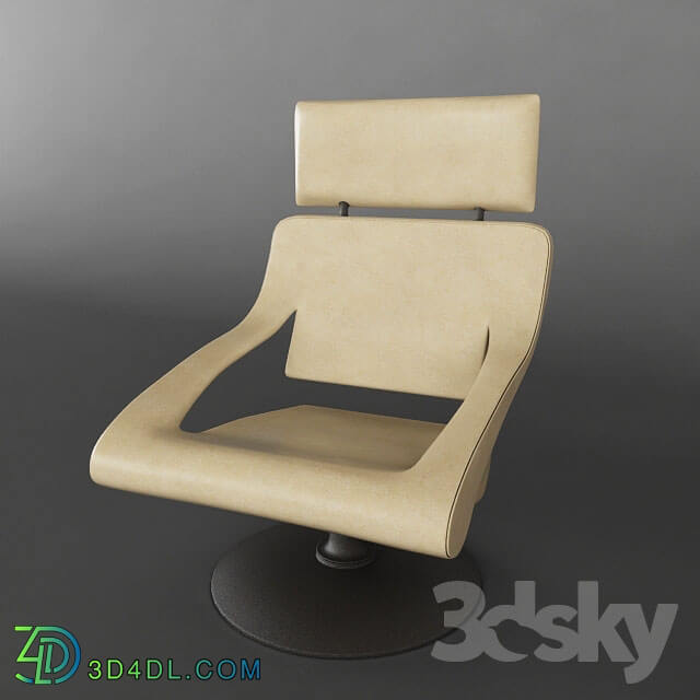 Arm chair - chair DS255