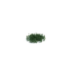 ArchModels Vol126 (016) simple grass small v1 