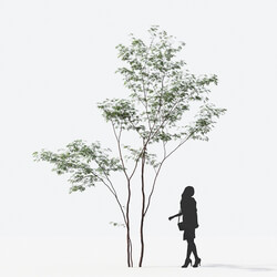 Maxtree-Plants Vol14 14 02 