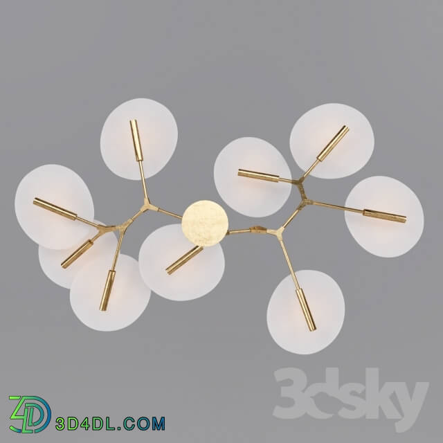 Ceiling light - Ceiling Lamp 01