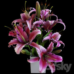 Plant - Lily bouquet 