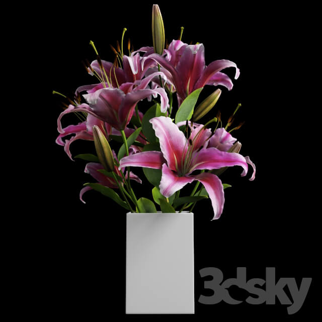 Plant - Lily bouquet