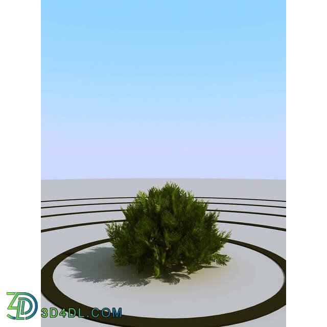 3dMentor HQPlants-02 (018) thuja